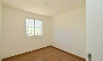 Imagem 7: Apartamento 2 quartos para aluguel Pelotas