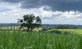 Imagem 3: Sítio Bom Jesus da Lapa