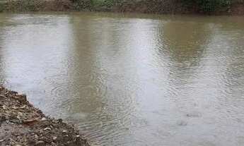 Imagem 3: 1 Alqueire, Energia, Córrego, Tanque de Peixe, Terra Mista, Aragoiânia