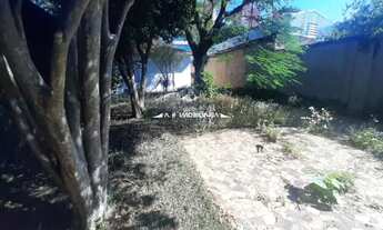 Imagem 5: São Paulo - Casa Padrão - CASA VERDE