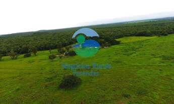 Imagem 6: Fazenda dupla aptidão Norte Tocantins