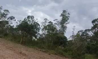 Imagem 6: Vem marca uma vista - Santa Isabel - SP