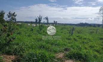 Imagem 2: Venda - Sítio - Machadinho D'Oeste - 6,5 alqueires