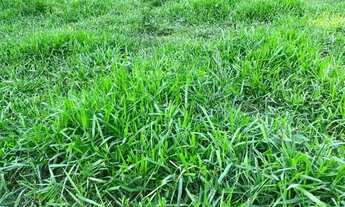 Imagem 5: Ótimo Sítio entre Palmas-TO e Paraíso-TO