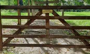 Imagem 2: Vendo Sítio em Juiz de Fora/MG (Direto com Proprietário