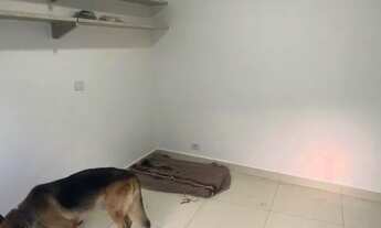 Imagem 6: Casa Comercial para Venda em São Paulo, Vila Monumento, 3 dormitórios, 3 banheiros, 11 vag