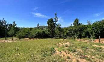 Imagem 7: Fazenda/Sítio/Chácara para venda tem 5000 metros quadrados em Morungava - Gravataí - RS