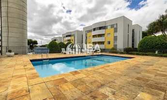 Imagem 3: CURITIBA - Padrão - Hauer