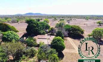 Imagem 5: Fazenda 204 Alqueires 1Km Br. 153