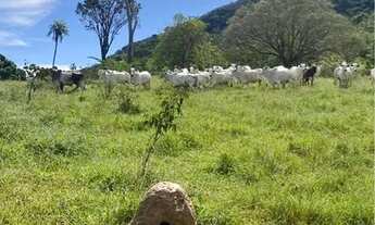 Imagem 2: Fazenda em Perinopolis