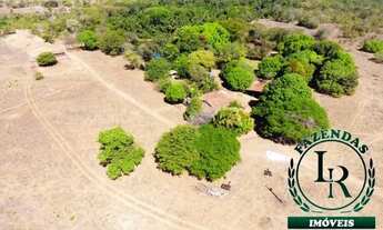 Imagem 4: Fazenda 204 Alqueires 1Km Br. 153