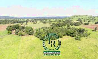 Imagem 5: Fazenda 23 Alqueires Beira Asfalto