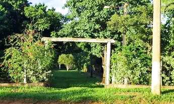 Imagem 6: Chácara à venda 7.000m2