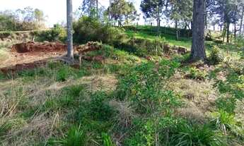 Imagem 3: Terreno - Bairro Vale dos Pinheiros