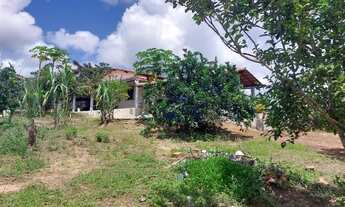 Imagem 5: Sítio linha verde Esplanada 21000m2