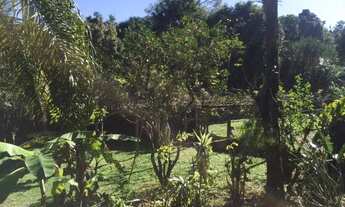 Imagem 7: Sítio - Florianópolis SC