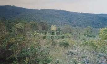 Imagem 4: Fazenda Chácara Campo da Pedra (Bosque Real), com 32.000 m2