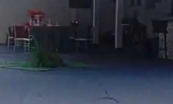 Imagem 3: Chácara para aluguel disponível para revellion