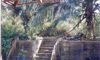 Imagem 5: Vende-se terreno na am 010 km 155 com terreno dos dois lado da pista com 61000m²