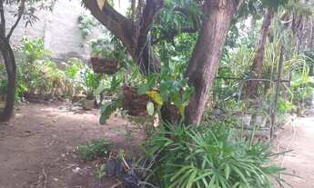 Imagem 2: Terreno na Parangaba