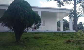 Imagem 3: Chacara à venda em Pelotas