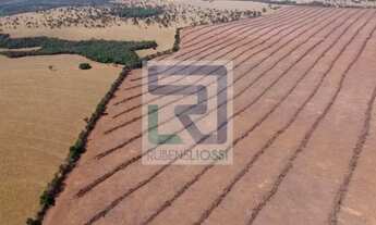 Imagem 7: MS) Fazenda em São Gabriel do Oeste com 440 Hectares