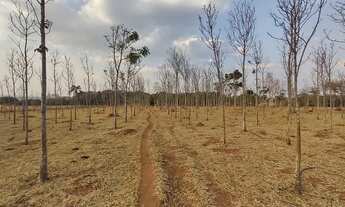 Imagem 7: Chácara para venda, com 55.875m² próximo ao Campus da UFG - Goiânia - GO