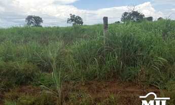 Imagem 7: Fazenda a 150 km Palmas. . 380 Alq. (1.839 Há). Vale do Araguaia
