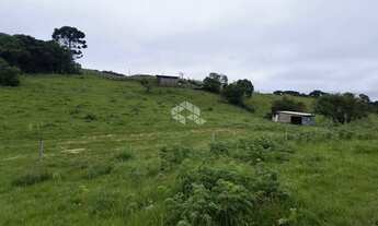 Imagem 7: Chácara com 3 hectares no Juá em São Francisco de Paula