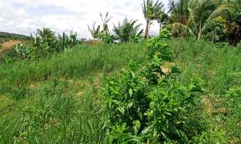 Imagem: Vendo excelente sítio no município de