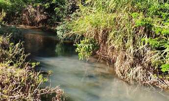 Imagem 6: CHÁCARA EM PETROLINA DE GOIAS