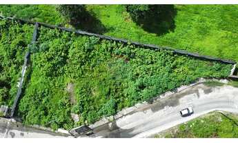 Imagem 7: Terreno Comercial Promissor em Alagoinhas Velha