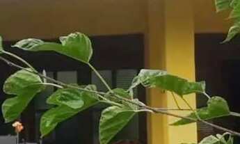 Imagem 2: Casa 4/4 apenas para temporada, Sendo 01 Suíte - Praia da Espera