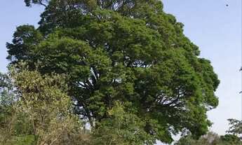 Imagem: Terreno com negociação direta