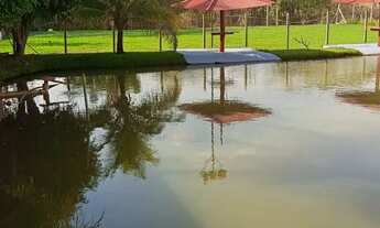 Imagem: Linda Chácara em Campo Limpo só R$ 800