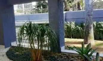 Imagem 3: CASA TÉRREA - ALTO DE PINHEIROS - SP