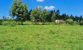 Imagem: FAZENDA 52 ALQUEIRES ESTRADA ARARUAMA SÃO