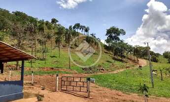 Imagem 3: REF: Office2401 Fazenda Cubatão com 8,5 Alqueires, Faina-GO codigo: 58774