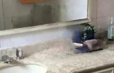 Imagem 13: Venda Apartamento 4 Dormitórios - 160 m² Chácara Klabin