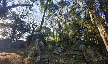 Imagem 6: Terreno único à beira da represa com 9557m² no condomínio Veleiros de Ibiúna-SP