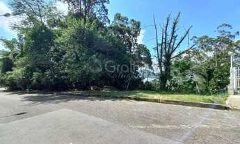 Imagem 2: Lindo terreno próximo a mata nativa