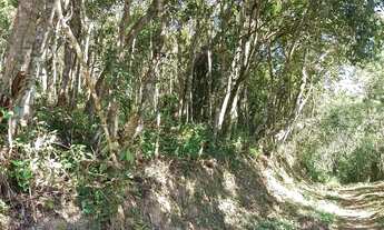 Imagem 7: Terrenao com plato 20 de entrada