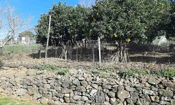 Imagem 6: Sítio em Estrada da Linha Nova - Linha Nova - Gramado/RS