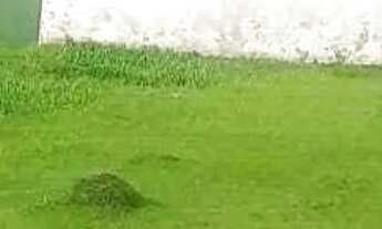 Imagem: TERRENO A VENDA 250M