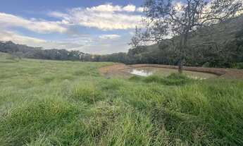 Imagem 7: Vendo terreno de 3 hectares em Piedade dos Gerais MG