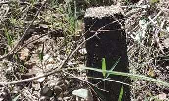 Imagem 3: Lote grande são Sebastião bem localizado