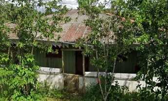 Imagem 8: Sítio na BR-319, Km 42 - Frente ao Lago Preto com Lago ao Fundo