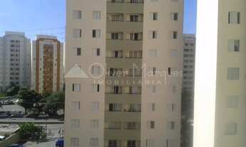 Imagem 5: Apartamento de 3 dormitórios no Continental, Osasco: Alugue já!