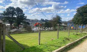 Imagem 5: Lote em Urquiza Costa - Rincão - São Francisco de Paula/RS