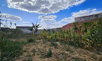 Imagem 4: TERRENO PARA ALUGAR NA RUA HONORIO DE BARROS LEITE